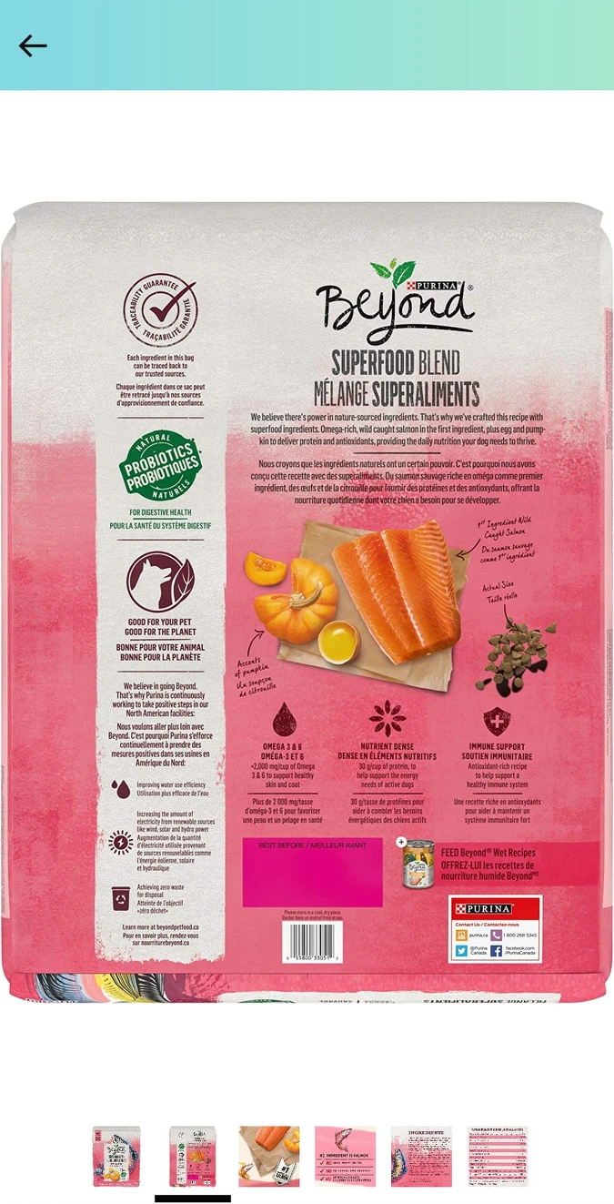Beyond Superfood Natural Dry Dog Food, Salmon, Egg, Pumpkin - photo 2