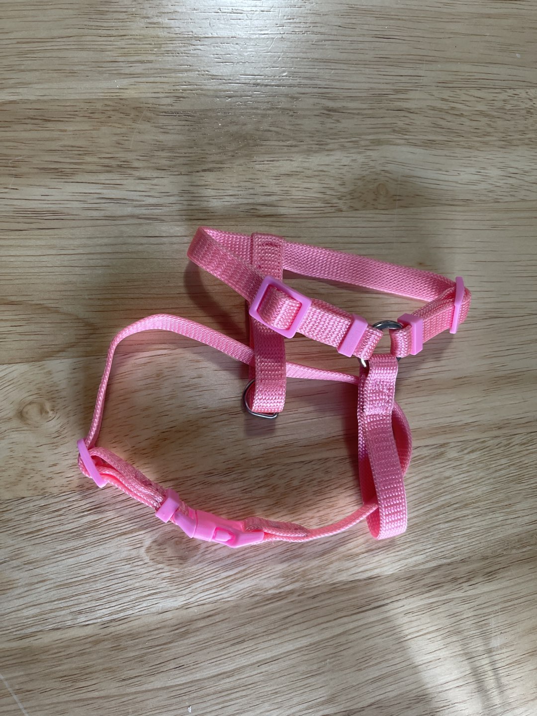 Kitten or small cat harness