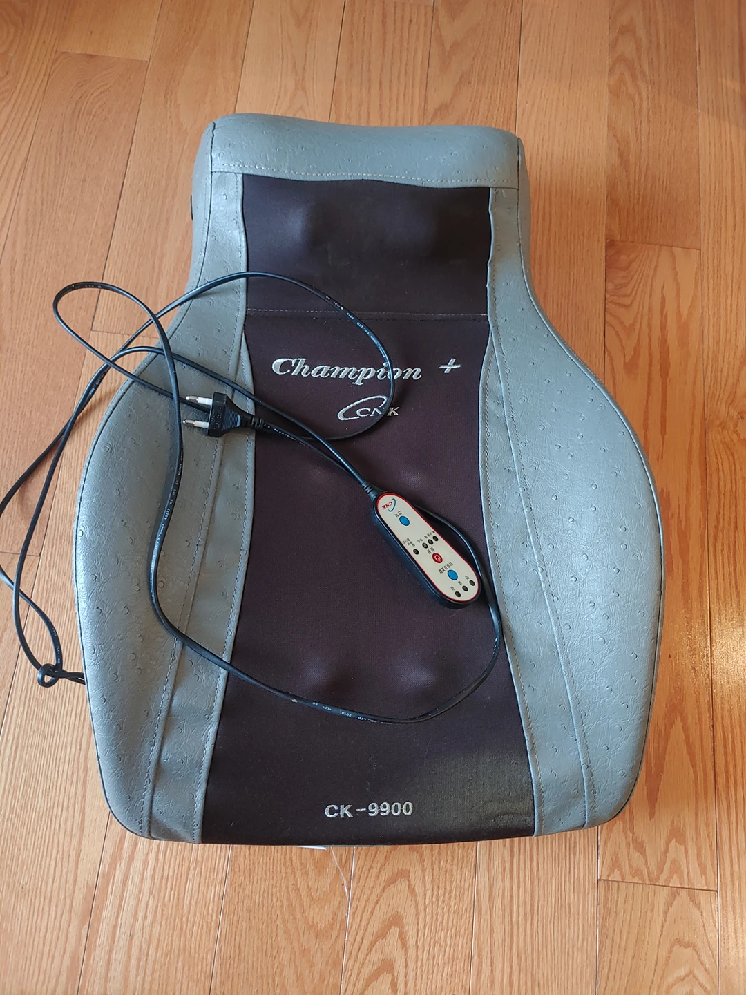 Electronic back massage