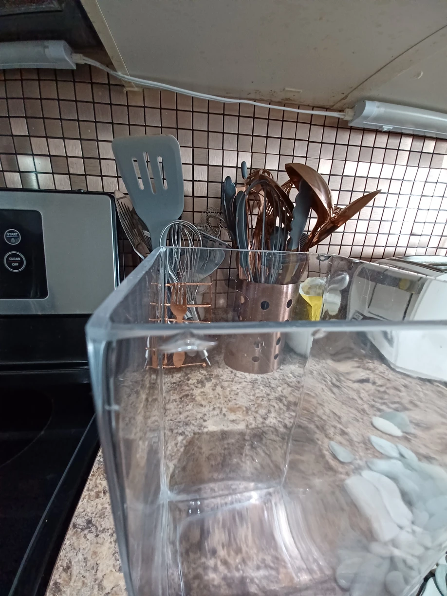 Glass Vase With Decorative Stones image indicator(2)