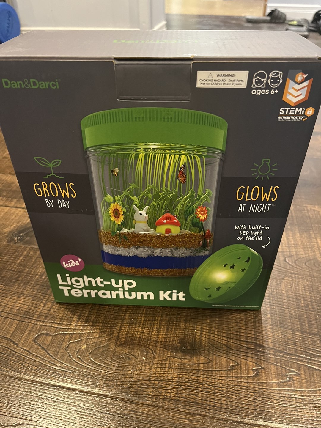 Light Up Terrarium Kit thumbnail