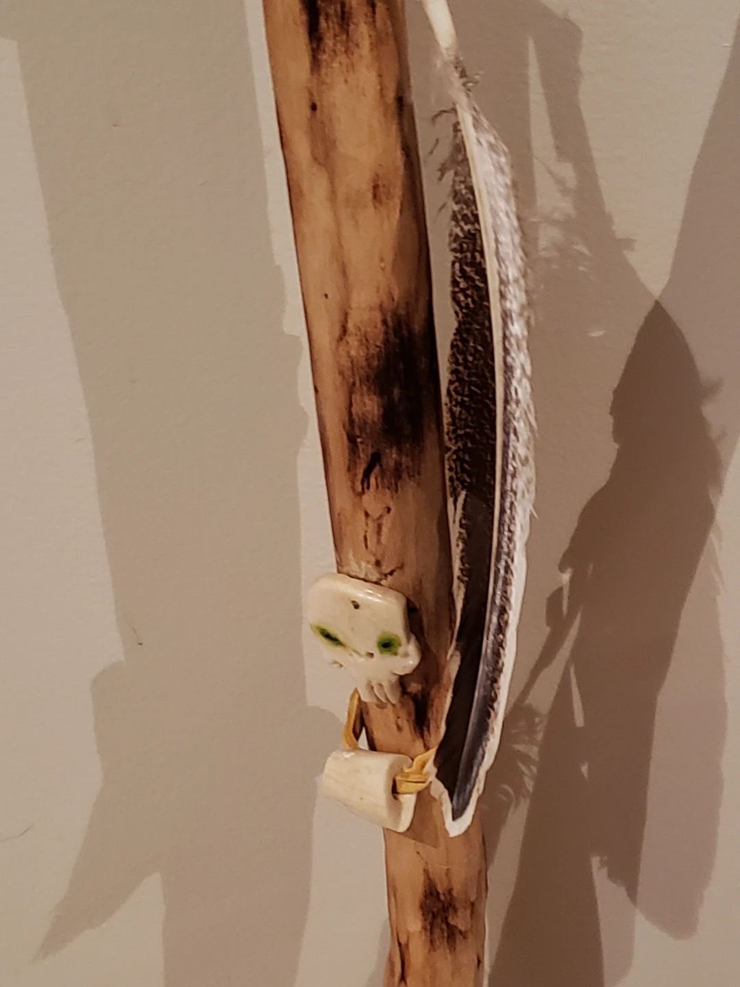 walking sticks image indicator(2)