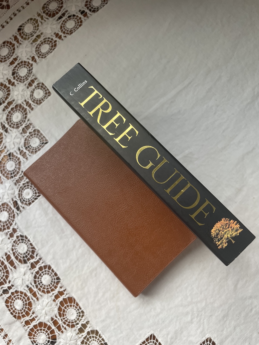 Two tree field guides thumbnail