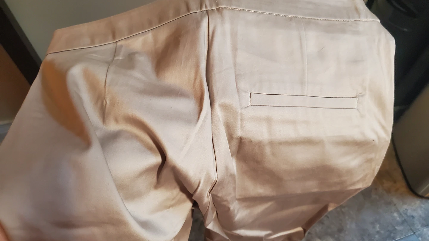 💸bnwt- Champagne Dress Pants image indicator(3)