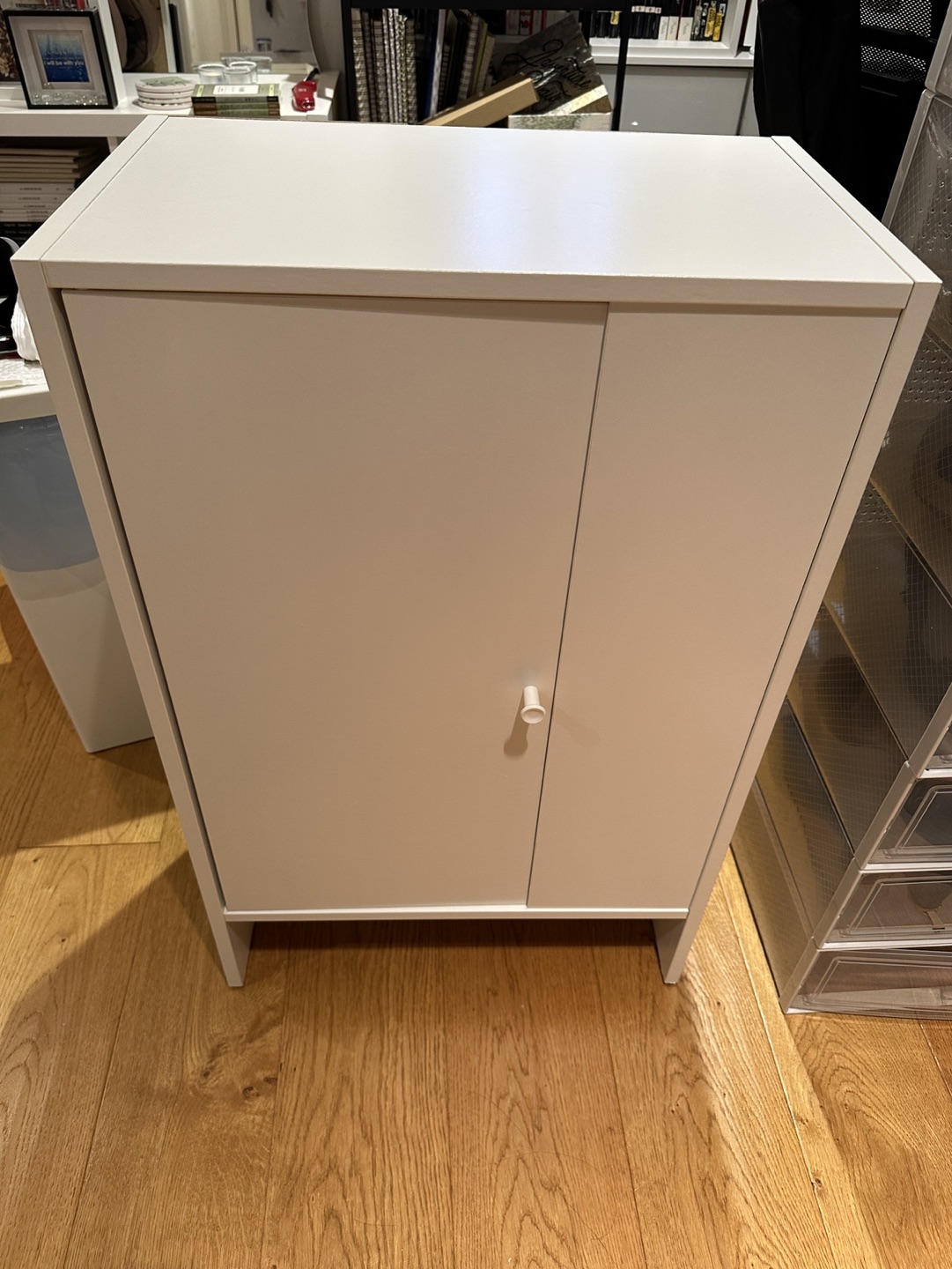 IKEA Baggebo cabinet/book shelf with door - photo 3