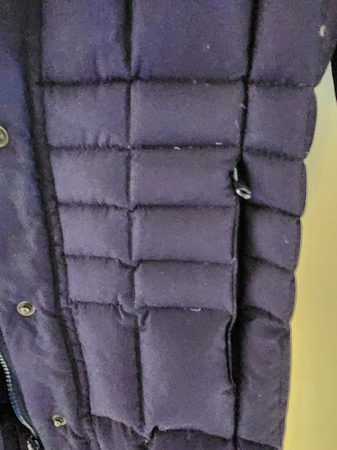 freecycle image indicator(5)