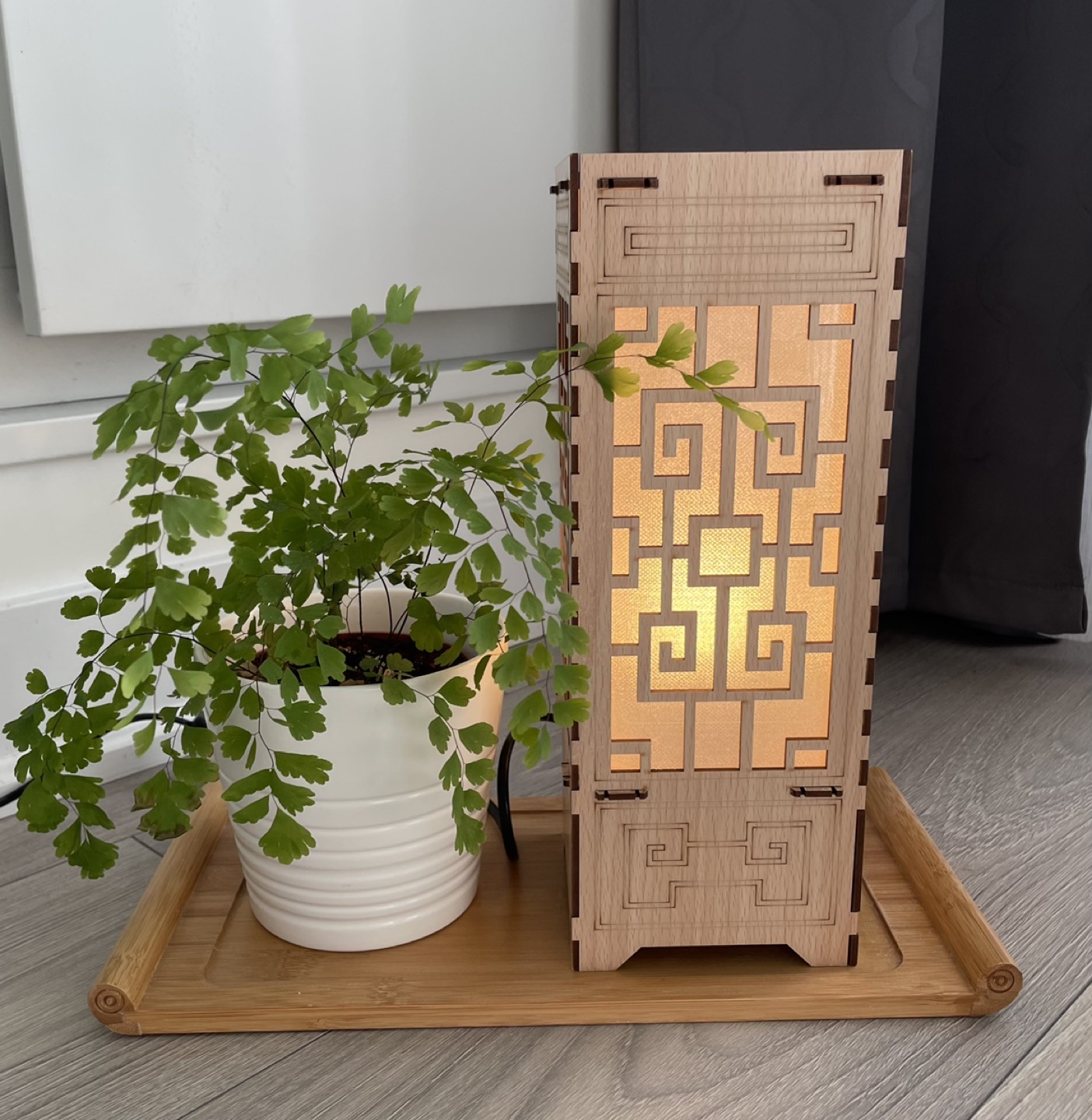 Decorations (maiden hair fern, lamp, wooden tray) - photo 2