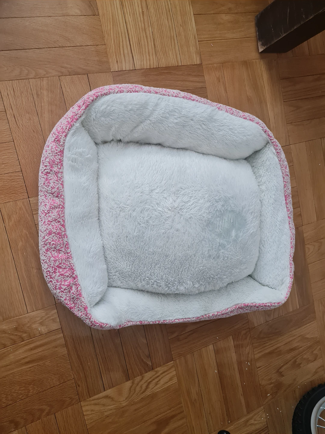 cat bed #freestyle