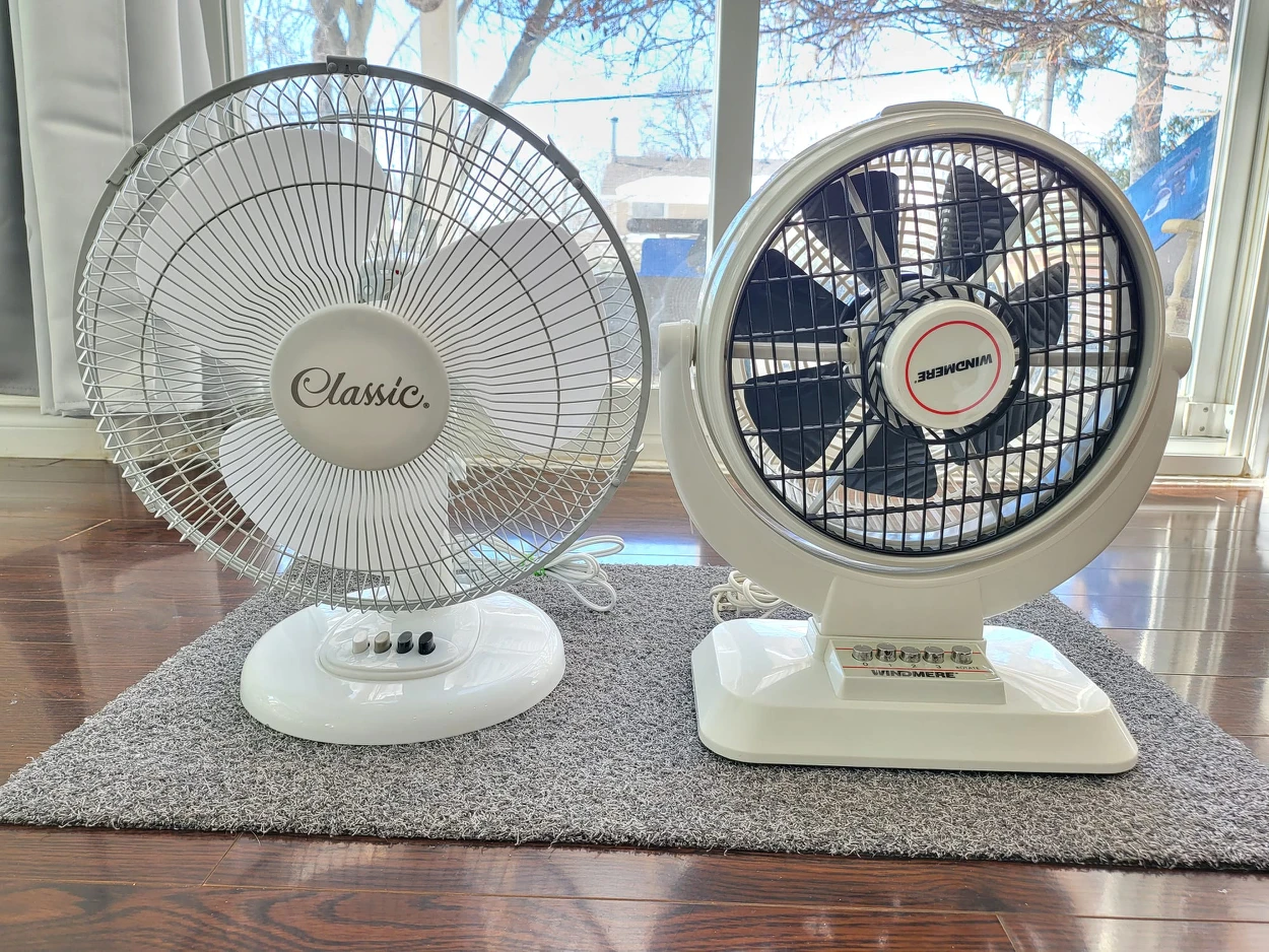 Fan - photo 4