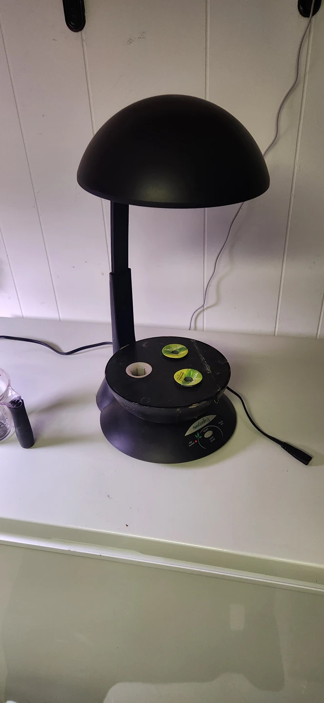 AeroGarden Hydropincs germination kit