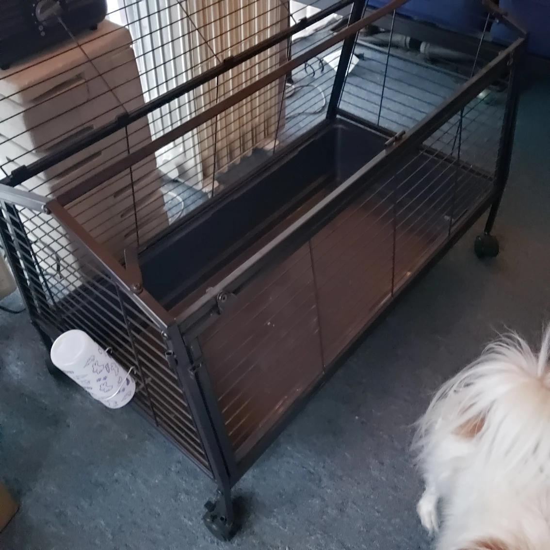 ANIMAL CAGE thumbnail