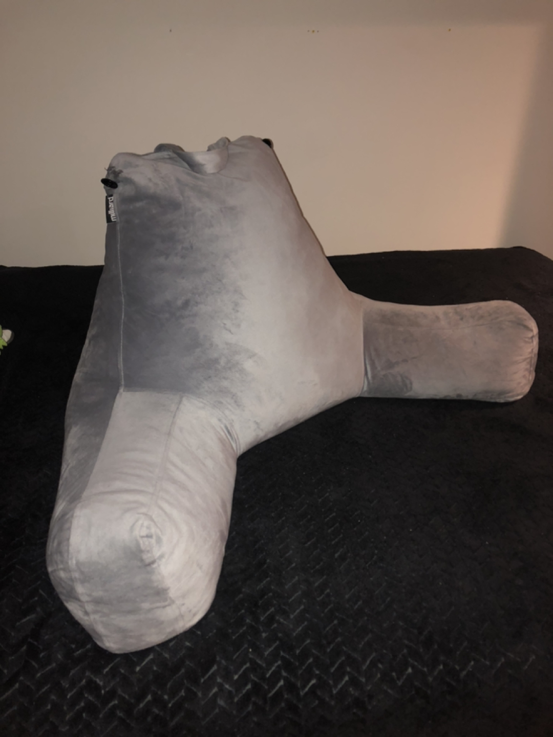 Reading pillow #freecycle thumbnail