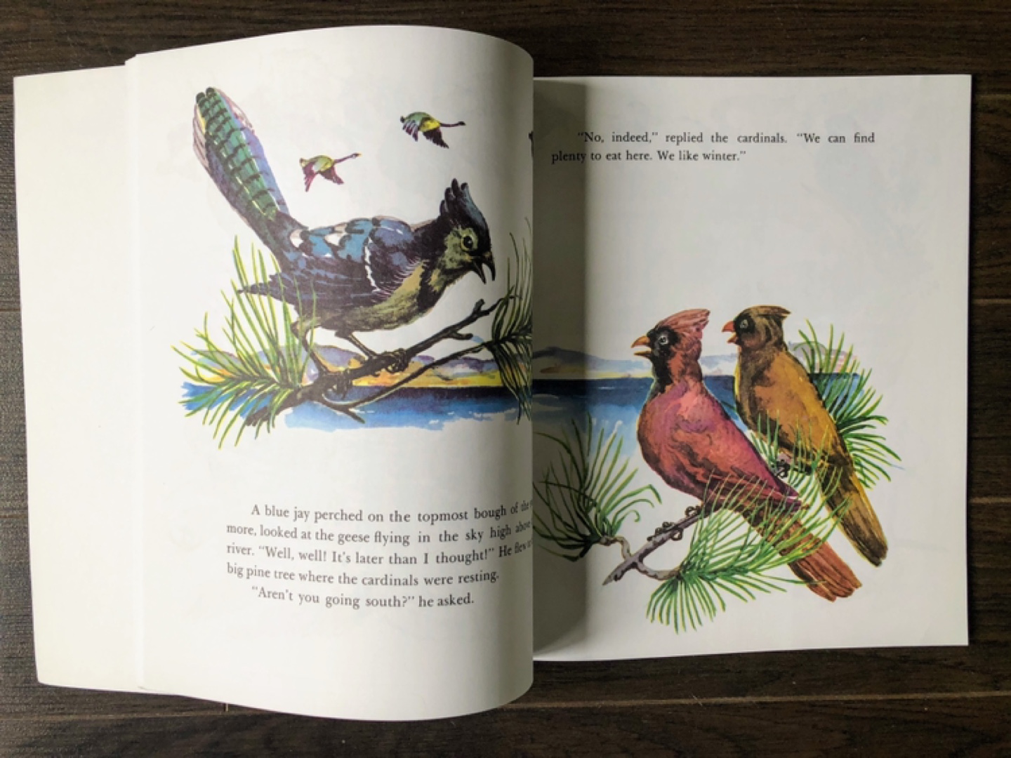 Award-winning Book Bundle - Winter Collection - photo 3