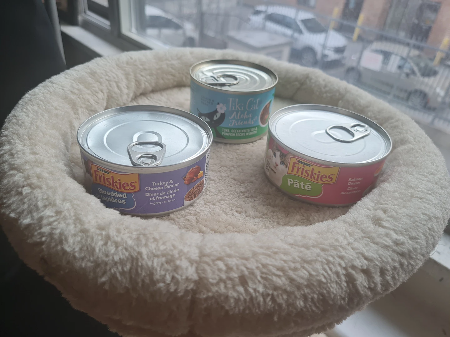 Free wet cat food #freecycle