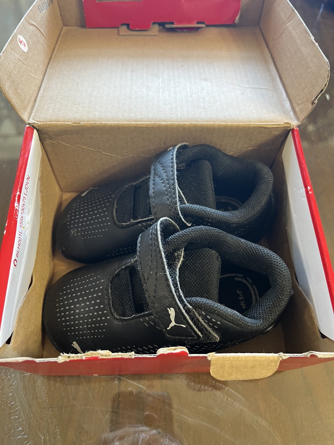 Baby pumas thumbnail