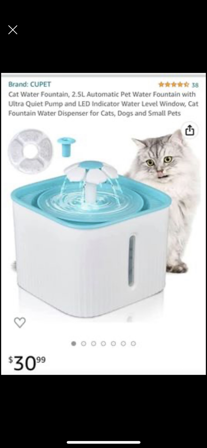 Cat water fountain