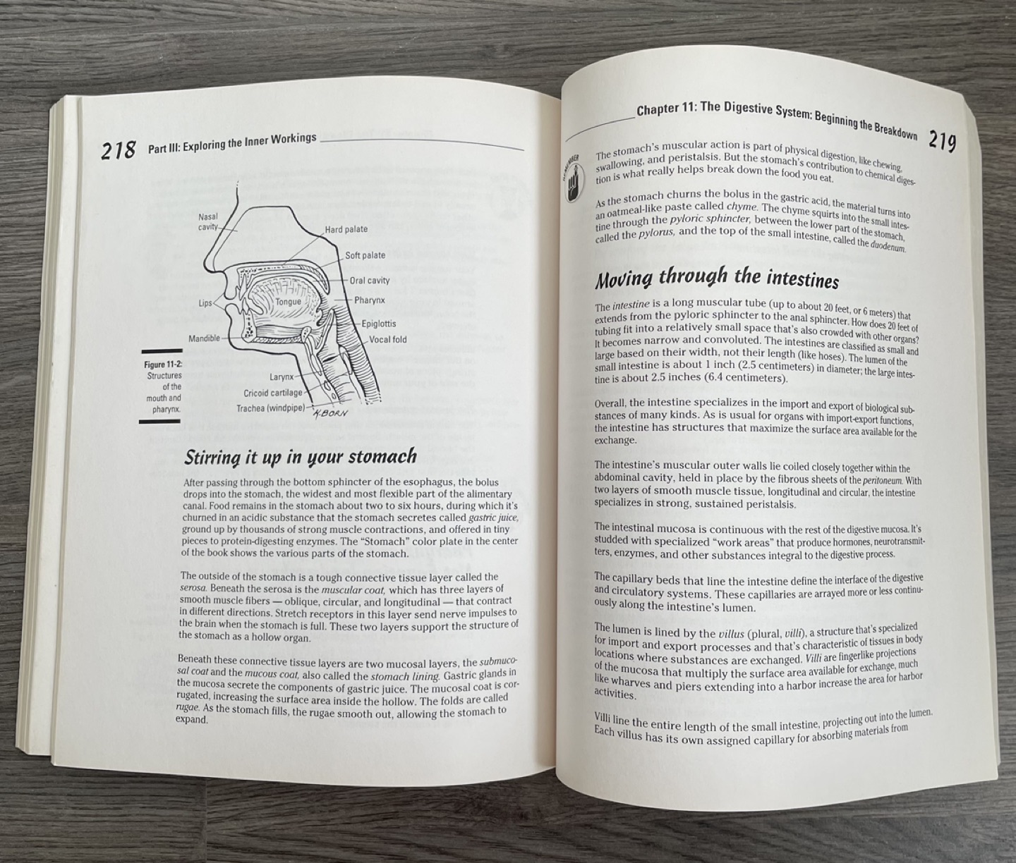 Anatomy & Physiology for Dummies image indicator(2)
