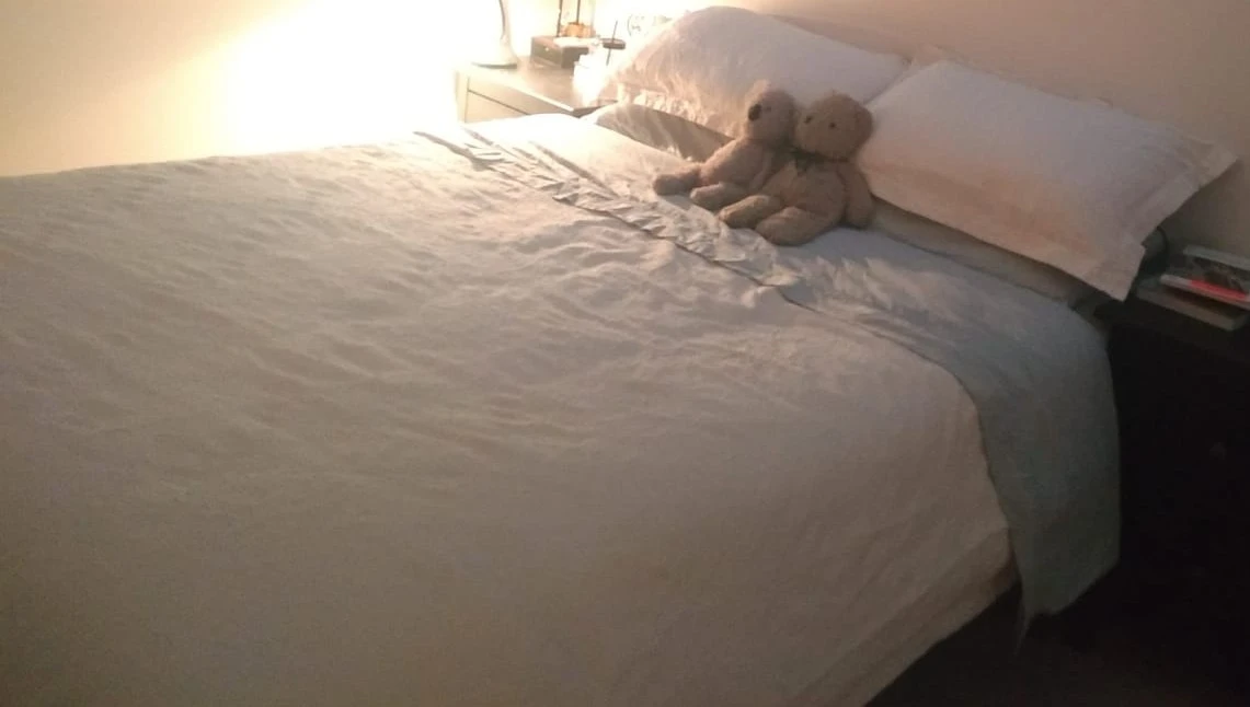 FREE Queen metal bed frame, mattress, and box spring
