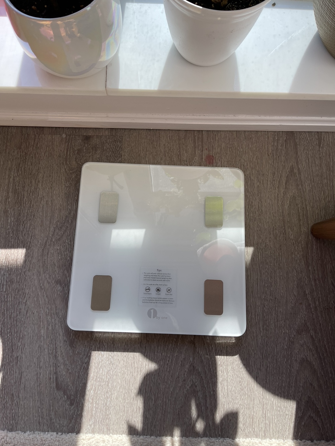 Bathroom scale