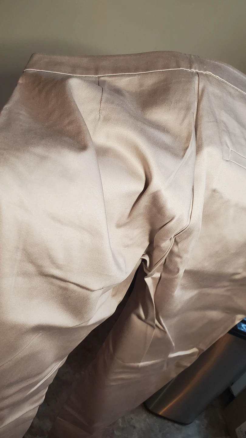 💸bnwt- Champagne Dress Pants image indicator(4)