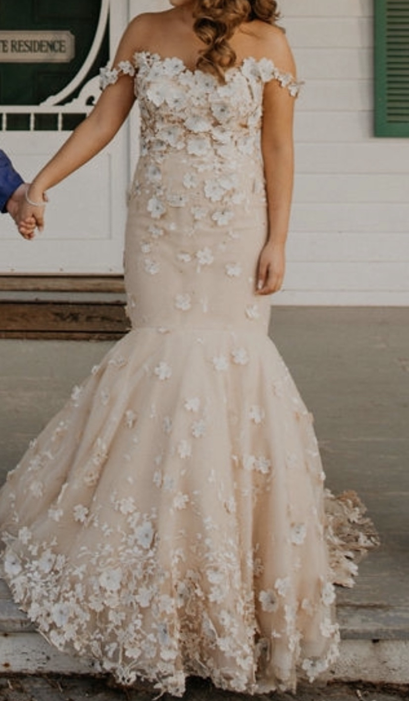 Terrani Couture Gown image indicator(2)