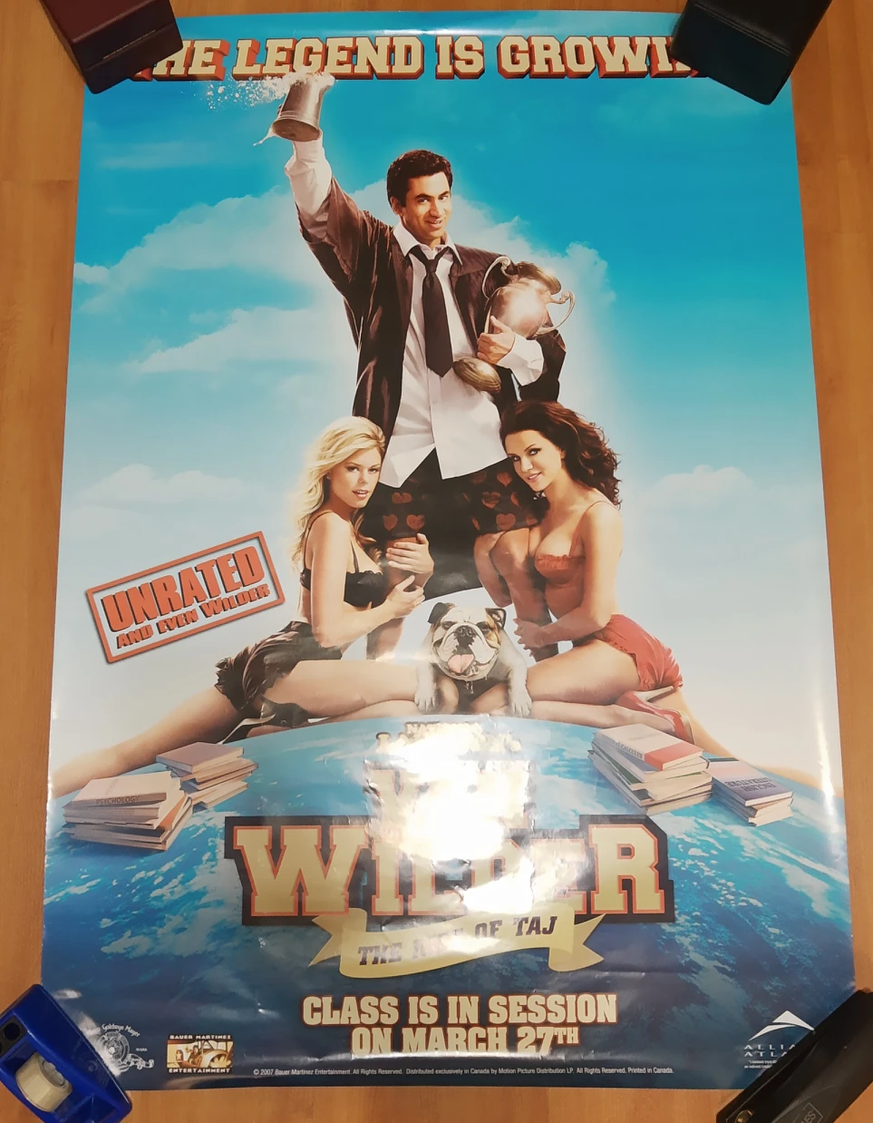 Van Wilder The Rise of Taj Movie Poster 💸