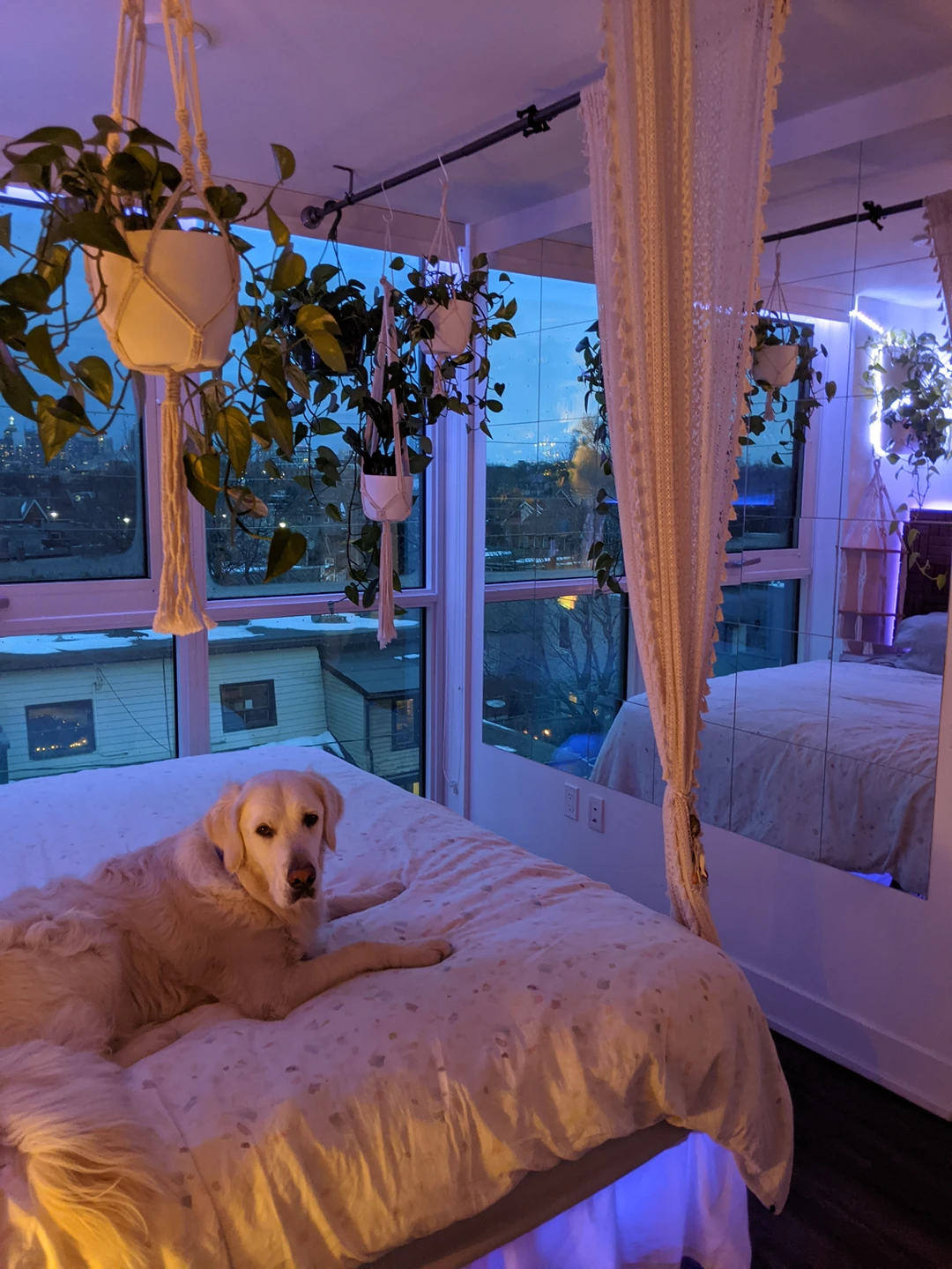 Bed Canopy With Curtain image indicator(3)