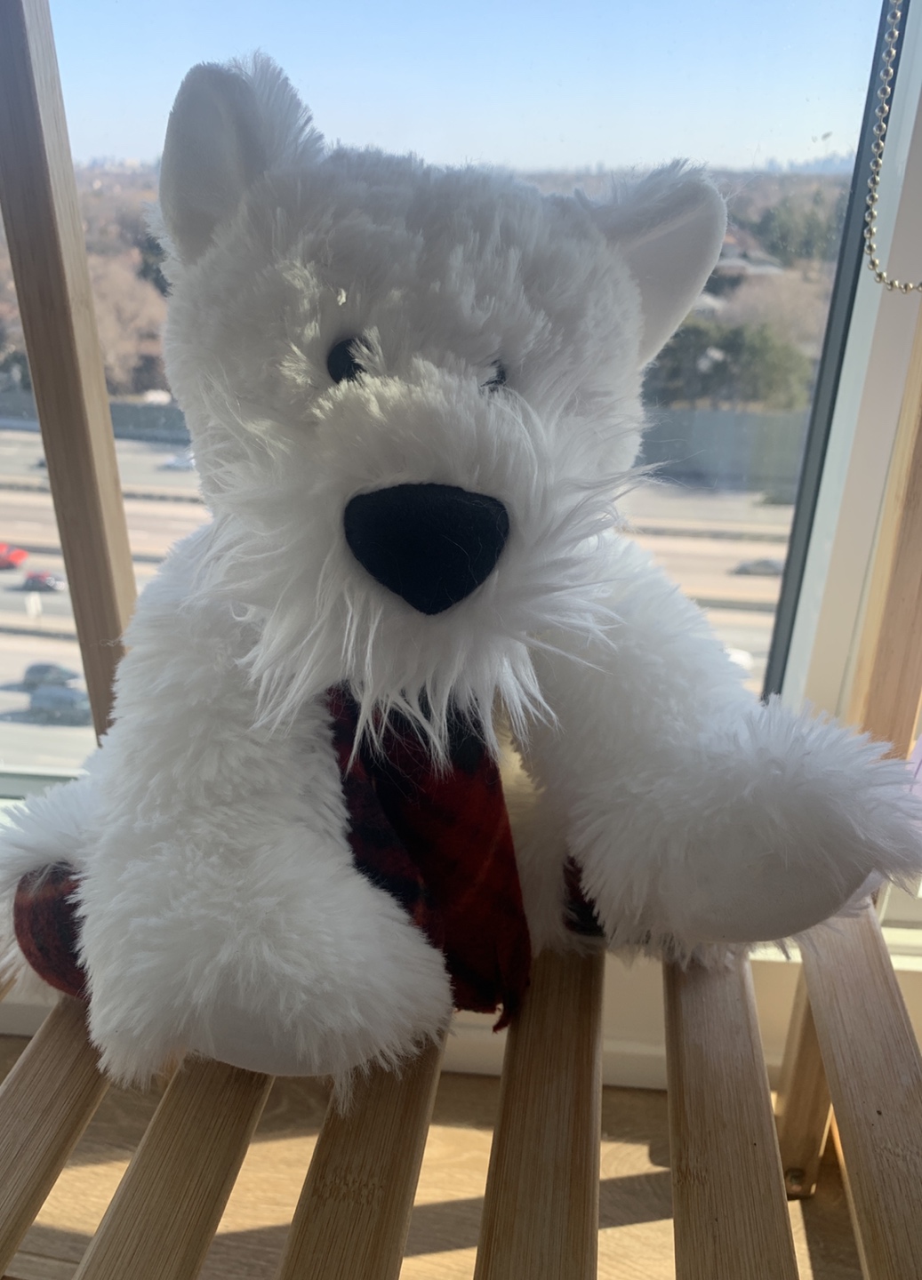 Cute Puppy Plush #freecycle thumbnail