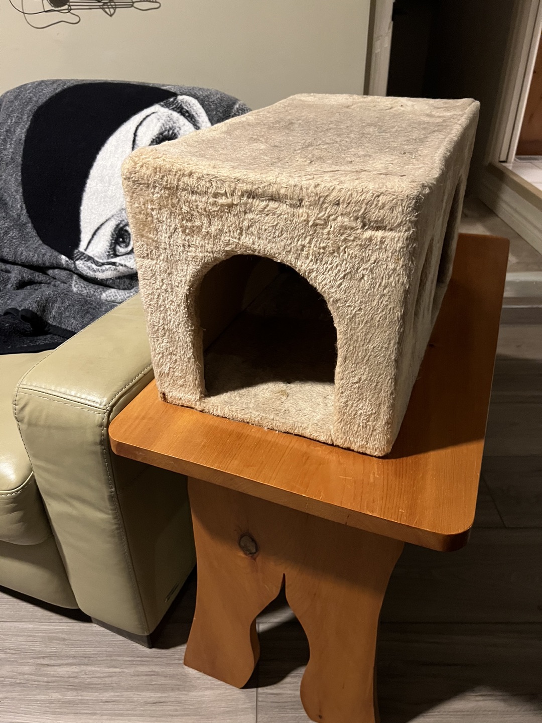 Cat play house thumbnail