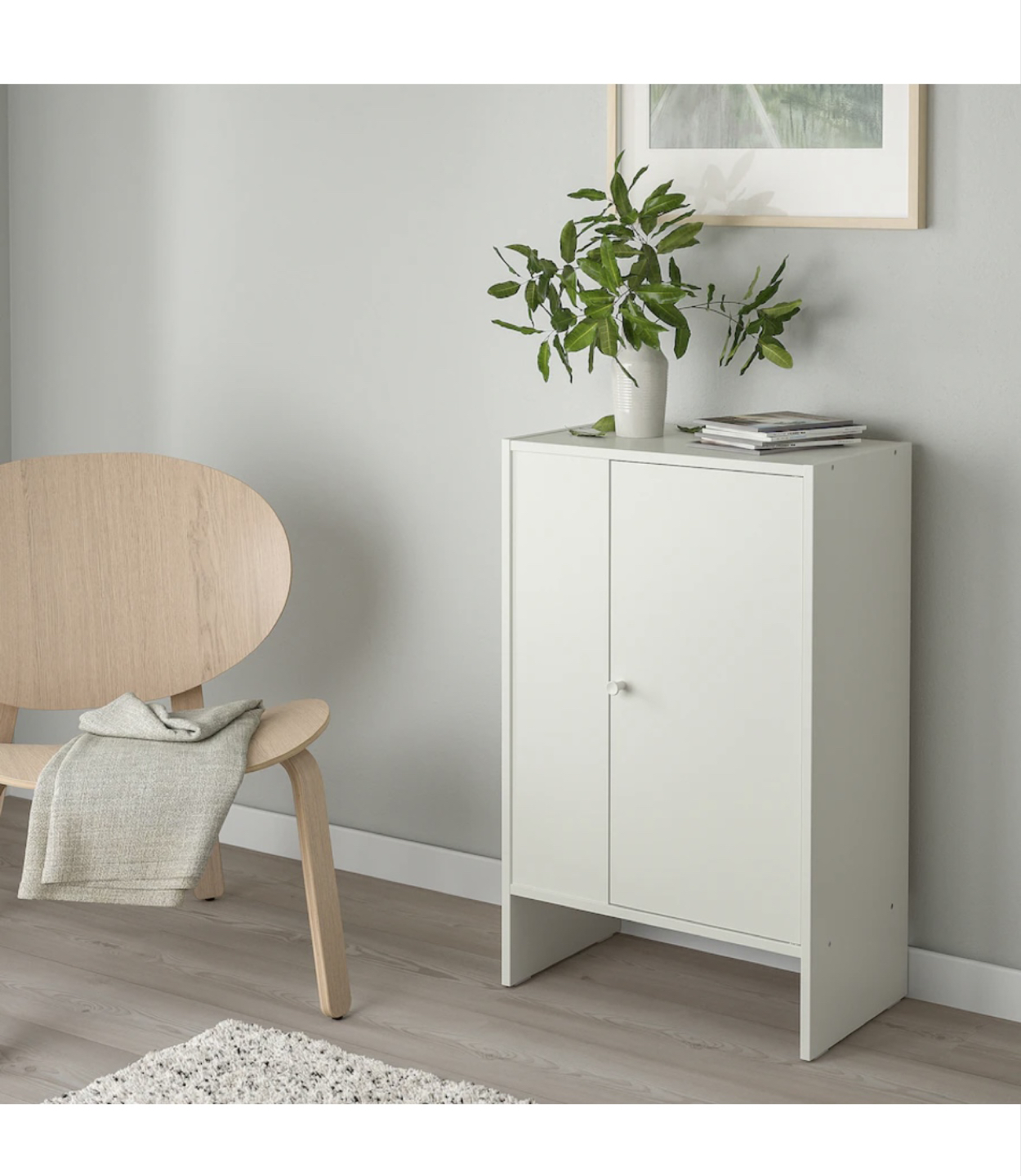 IKEA Baggebo cabinet/book shelf with door - photo 2