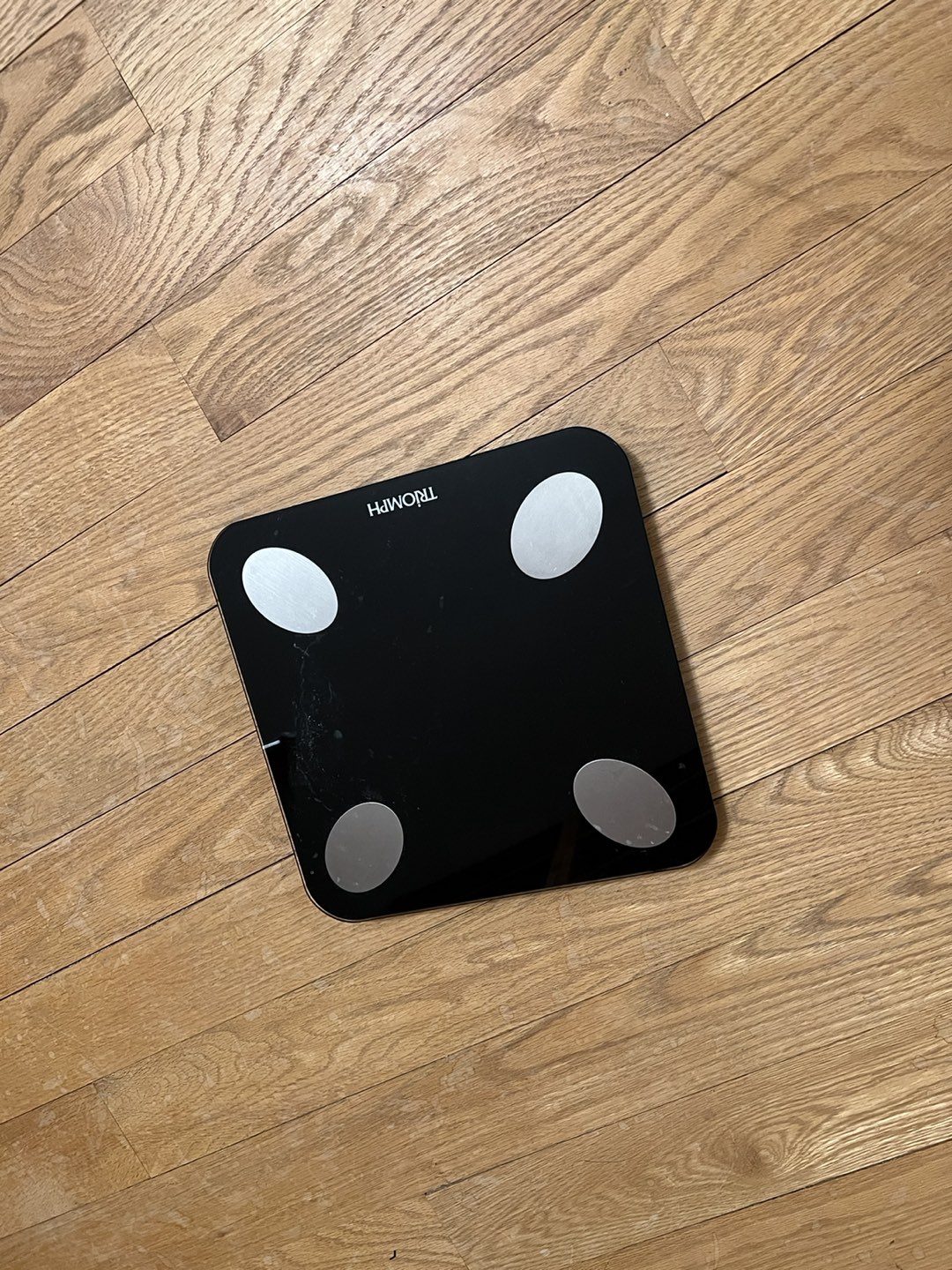 Scale