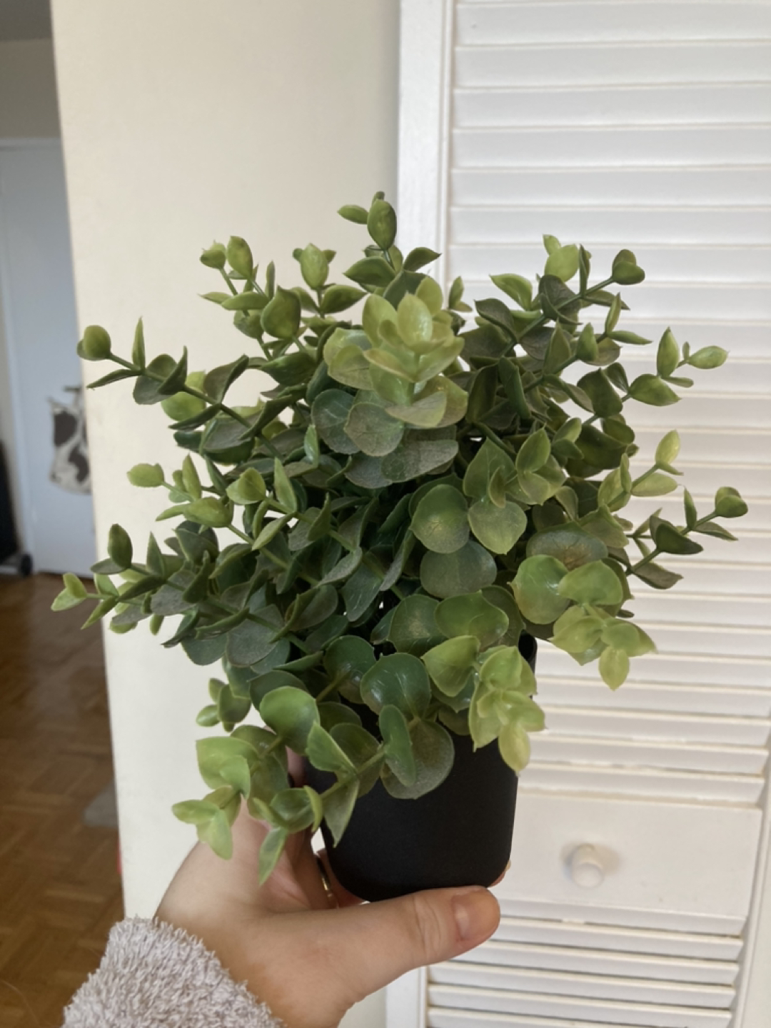 Two fake plants thumbnail