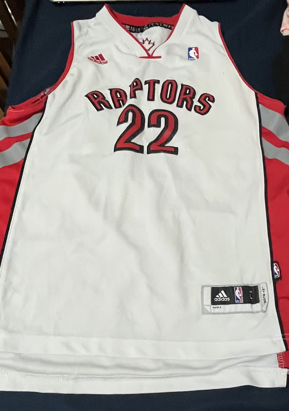 Raptors tshirt