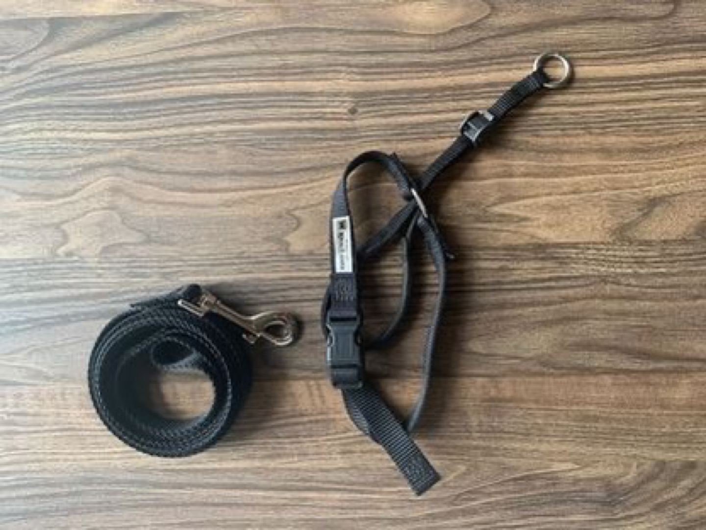 Easy Walk Headcollar 💸