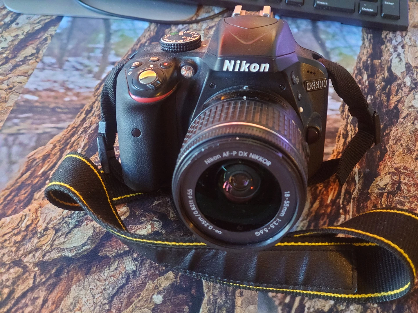 Selling My Nikon D3300 Beginner Camera