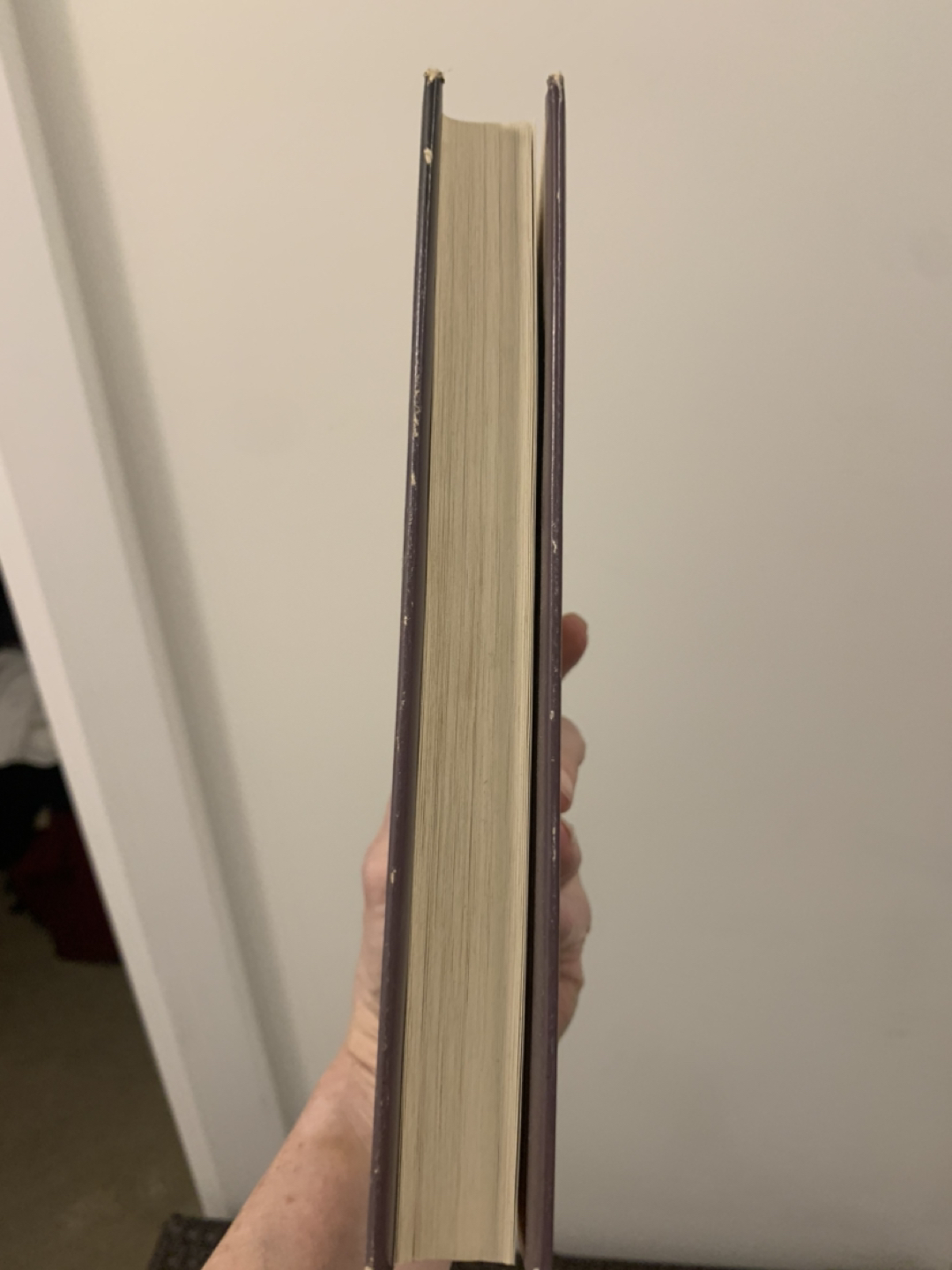 Michael Ondaatje “The Cat’s Table” hard cover thumbnail