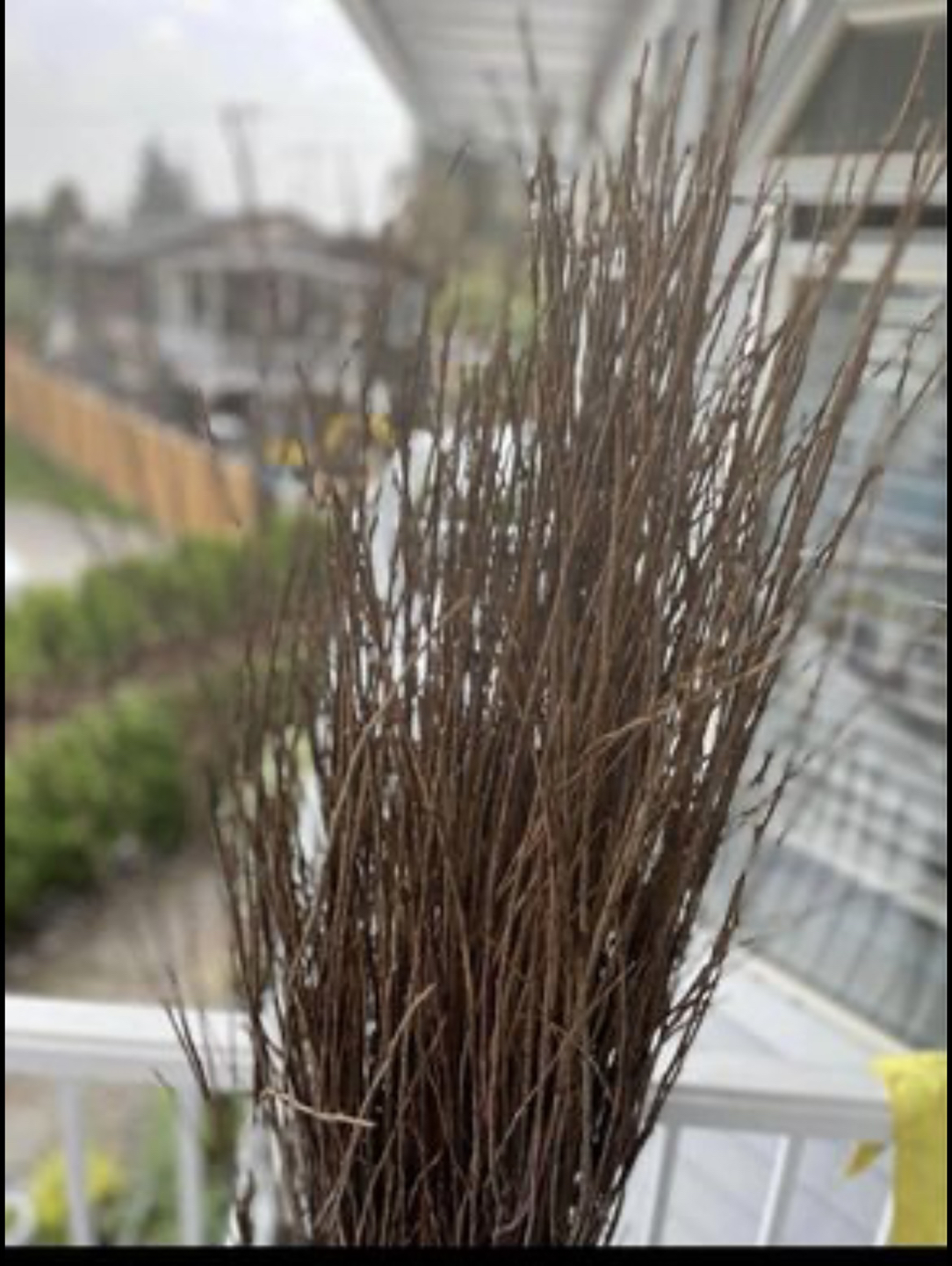Artificial Twig - photo 2