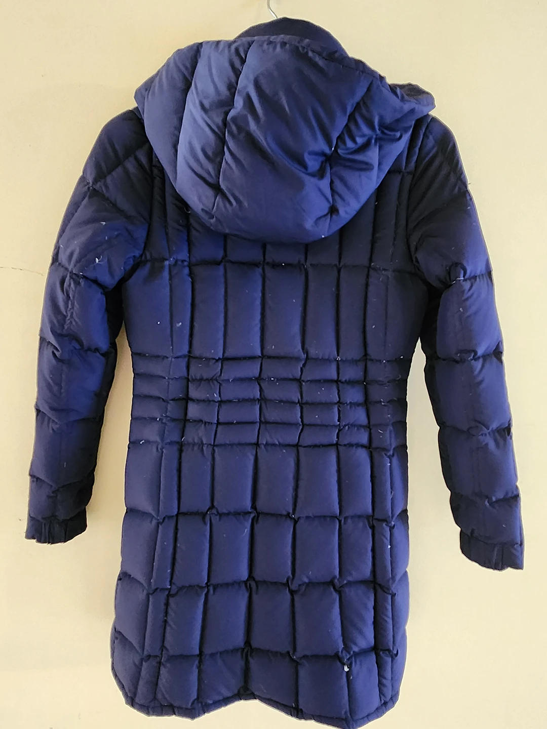 freecycle image indicator(2)