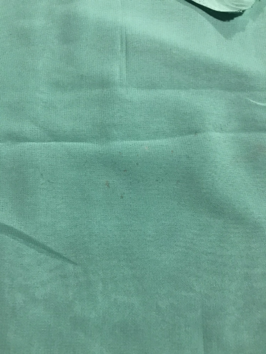 🏀 Beautiful Green Indian Saree image indicator(8)