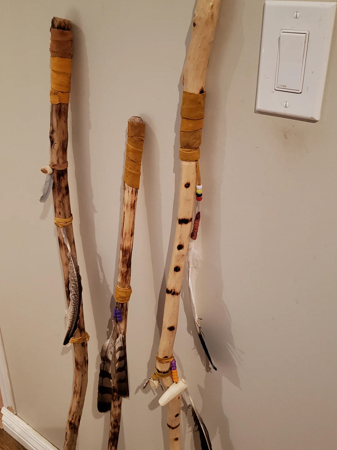 walking sticks