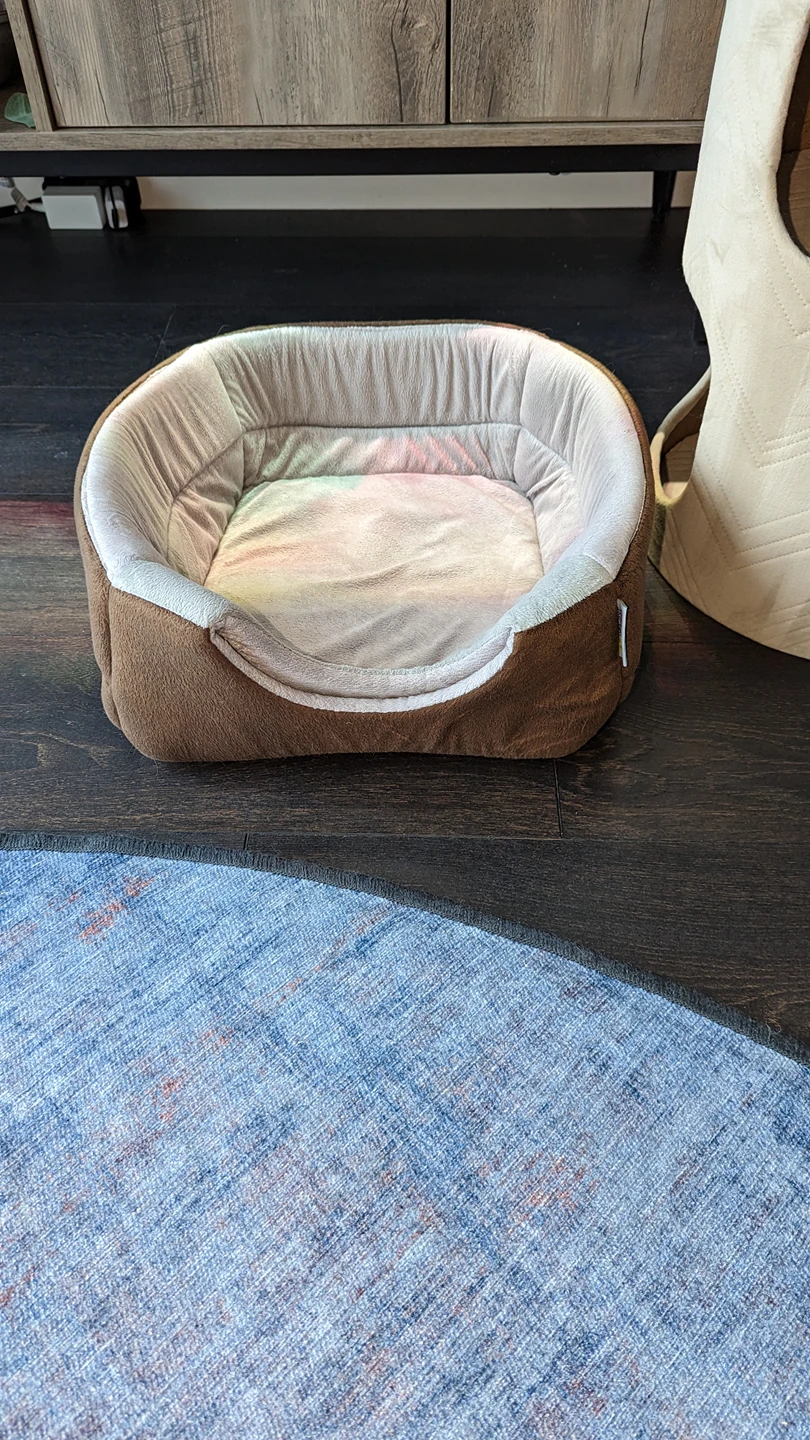 Cat bed - transforms between cubby and bed #freecycle thumbnail