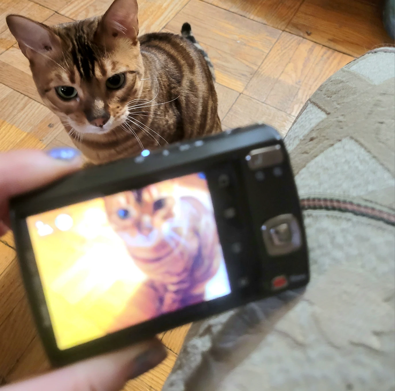 Red Kodak 12mp Easy Share Digital Camera *working* image indicator(6)