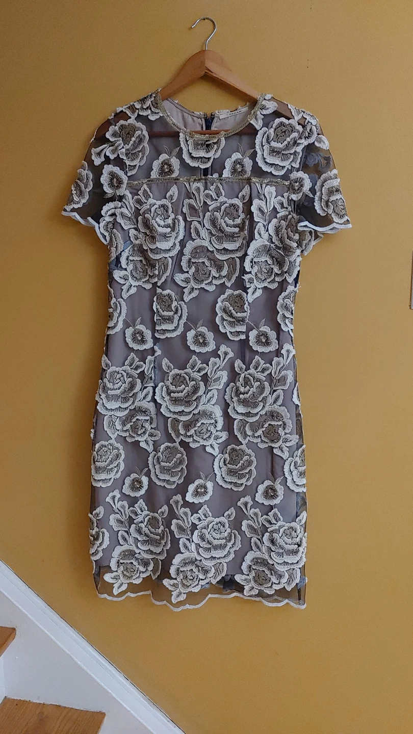 Beautiful ladies dress