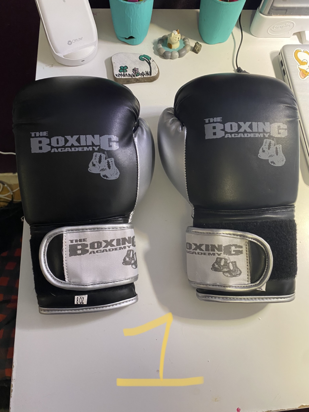 8 oz boxing gloves