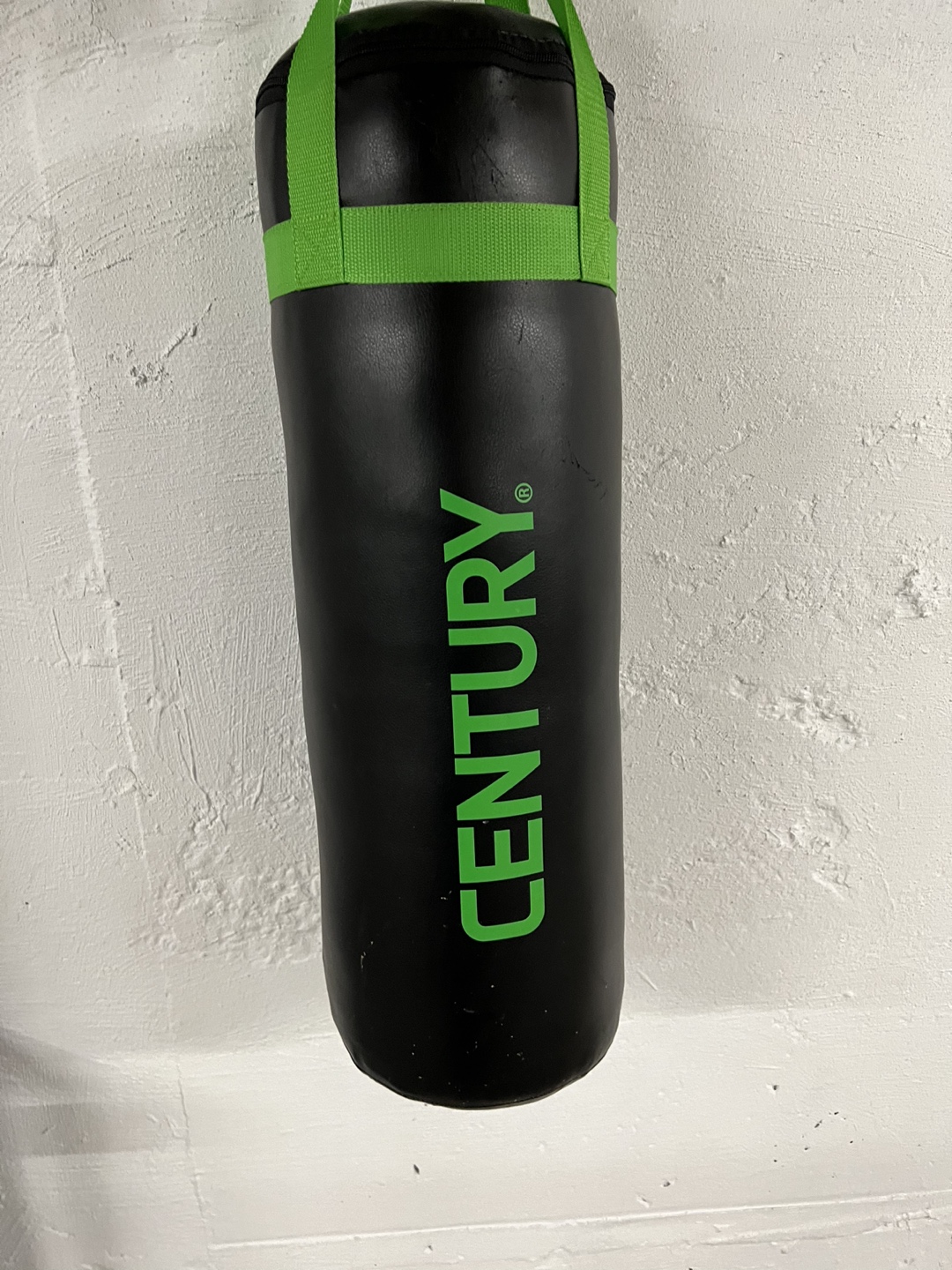 Punching Bag (like new) thumbnail