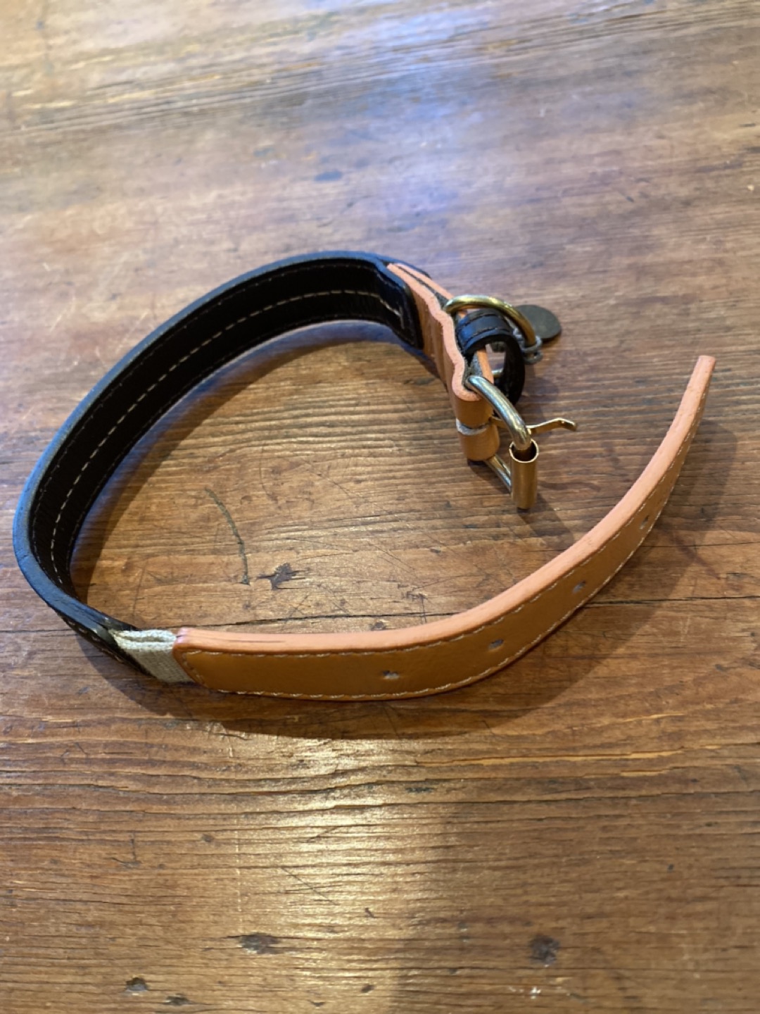 Mungo & Maude Bauhaus dog collar image indicator(2)