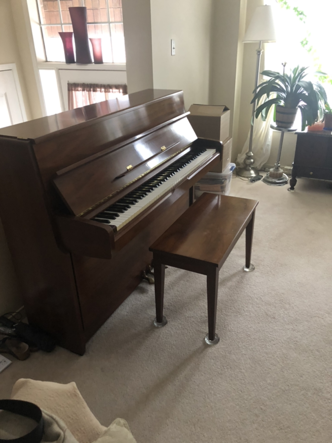 Piano - photo 3