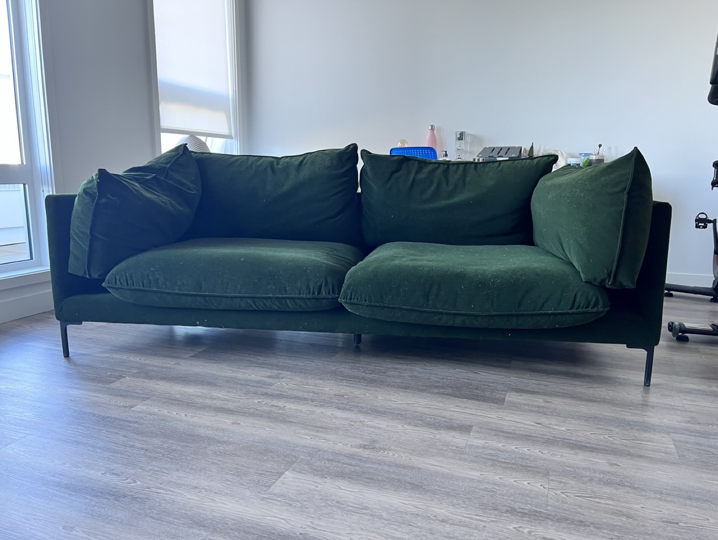 Velvet couch