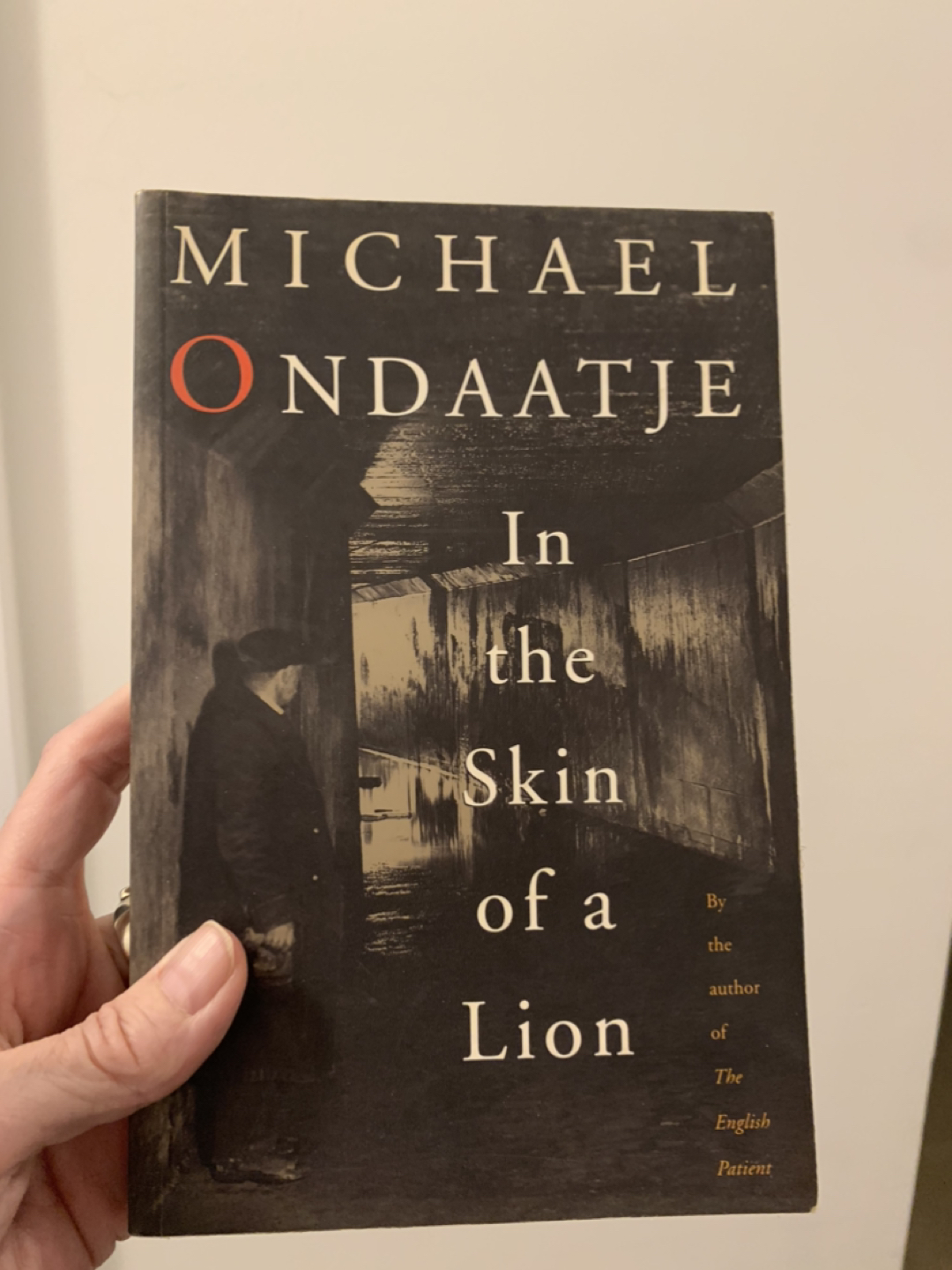 Michael Ondaatje “In The Skin Of A Lion” thumbnail