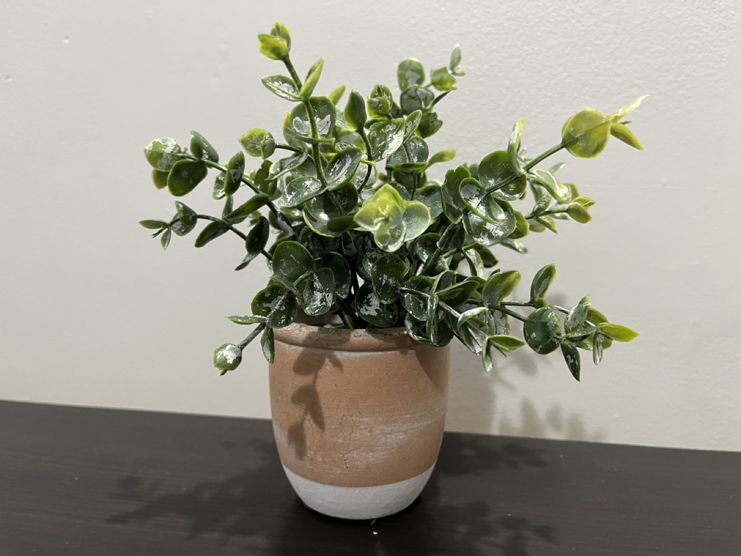 Small Fake Plant thumbnail